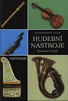 Hudebn� n�stroje