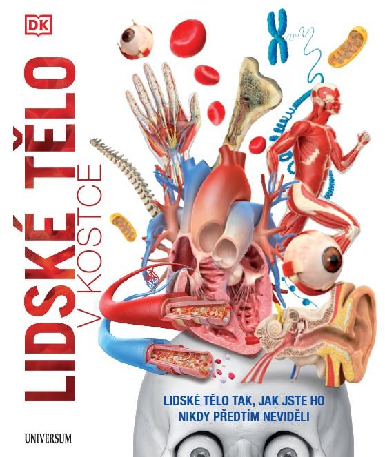 Lidsk� t�lo v kostce