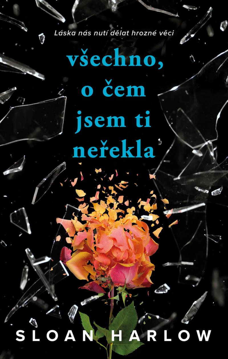 V�echno, o �em jsem ti ne�ekla