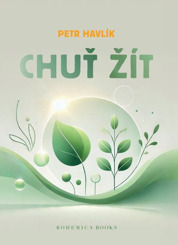 Chu t
