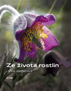 Ze �ivota rostlin TOGGA