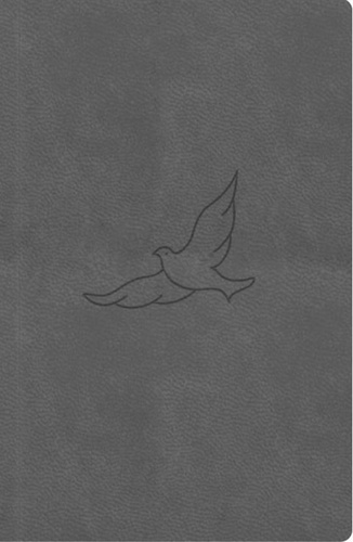 Bible21 kapesn� Pepper 12v