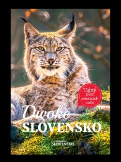 Divok� Slovensko