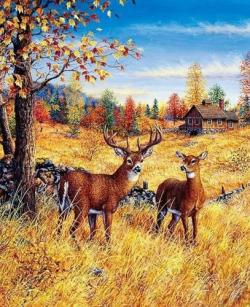 Diamantov� malov�n� Jeleni na MATYSKA