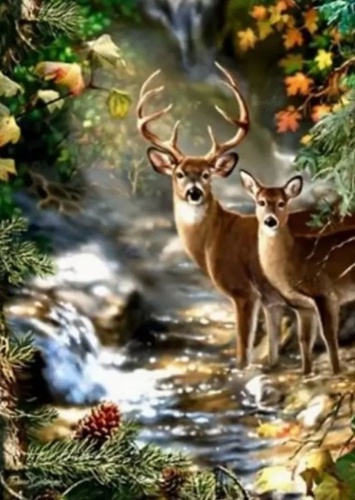 Diamantov� mal. Jelen a srnka MATYSKA