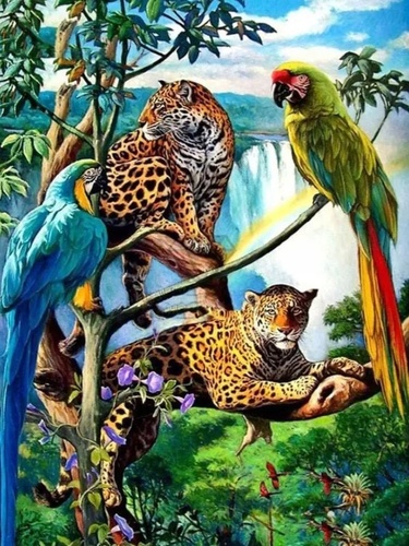 Diamantov� mal. Papou�ci a leop MATYSKA