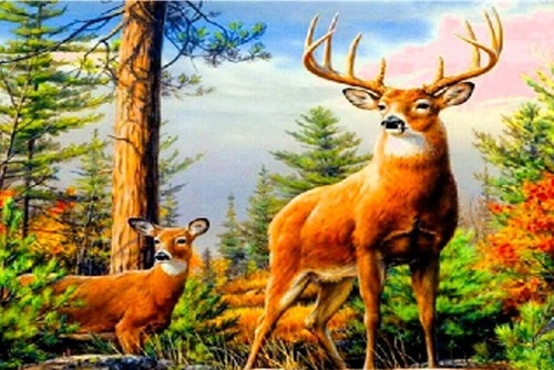 Diamantov� mal. Jelen v hor�ch