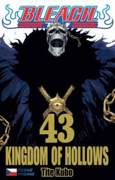 Bleach 43