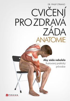 Cvi�en� pro zdrav� z�da - anatomie