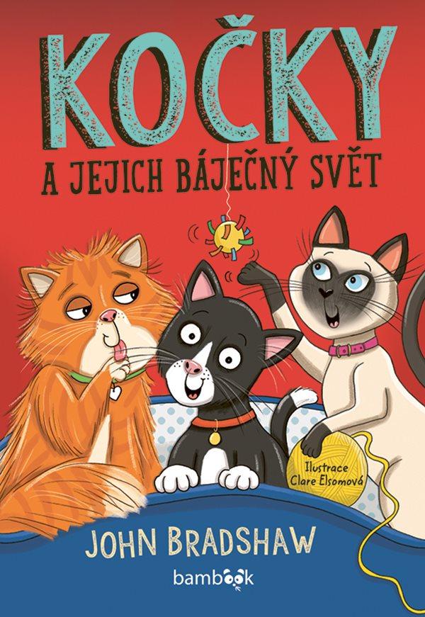 Ko�ky a jejich b�je�n� sv�t