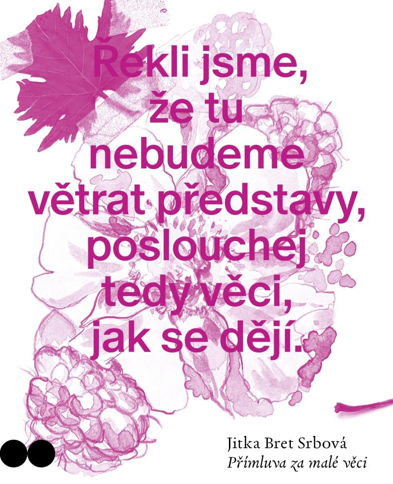 P��mluva za mal� v�ci