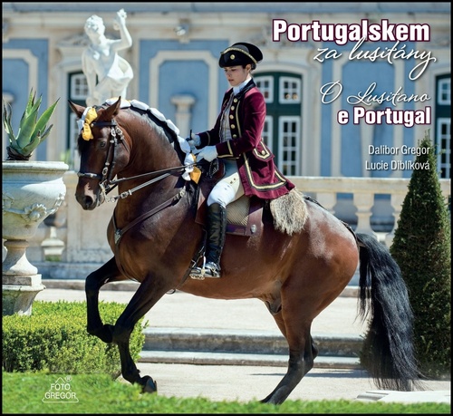 Portugalskem za lusit�ny