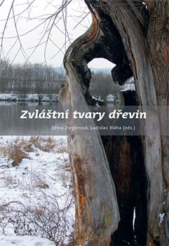 Zvl�tn� tvary d�evin