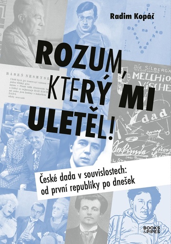 Rozum, kter� mi ulet�l!