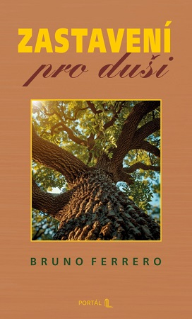 Zastaven� pro du�i