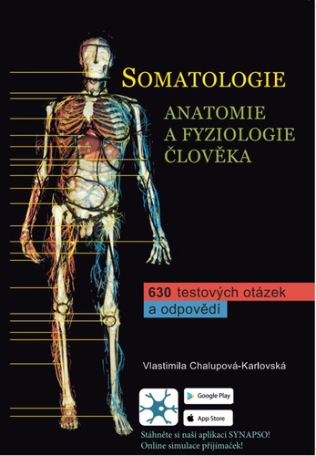 Somatologie Anatomie a fyziol. �lov. 4v