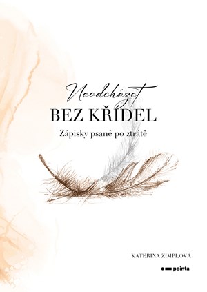Neodch�zet bez k��del