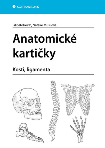 Anatomick� karti�ky
