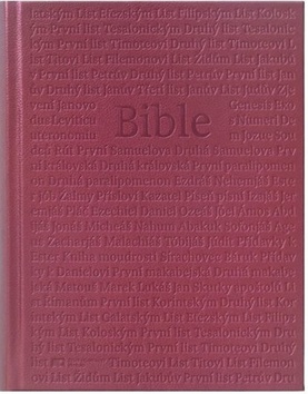 Bible 1251