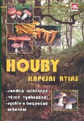 Houby