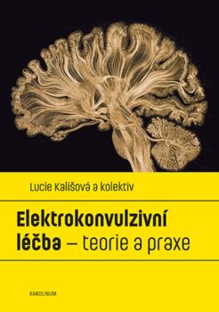 Elektrokonvulzivn� l��ba - teorie a praxe