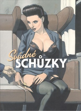 Sv�dn� sch�zky