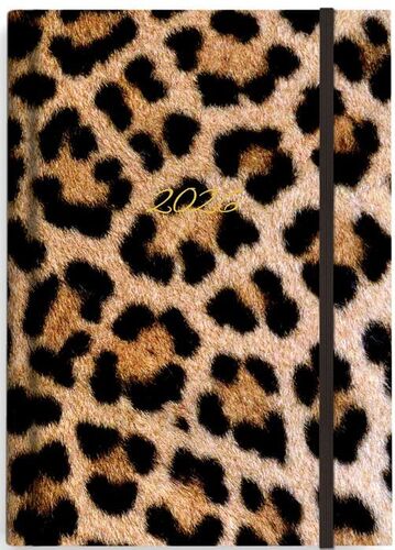 Di��26 T�d Prokop B6 Leopard B�K