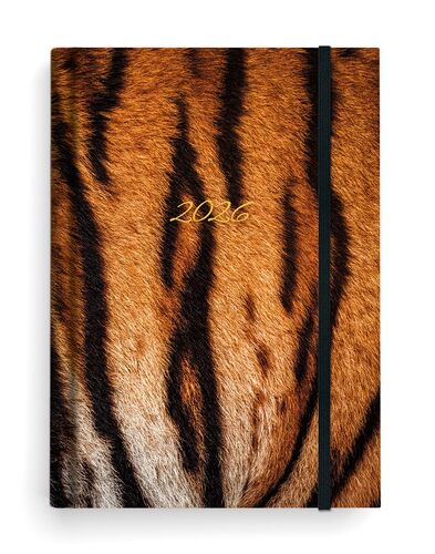 Di��26 T�den Prokop Lamino B6 Tygr B�K