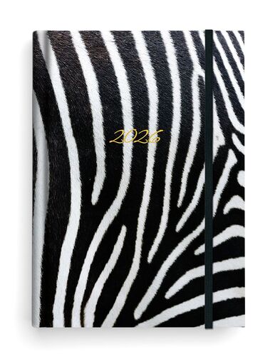 Di��26 T�den Prokop Lamino B6 Zebra B�K