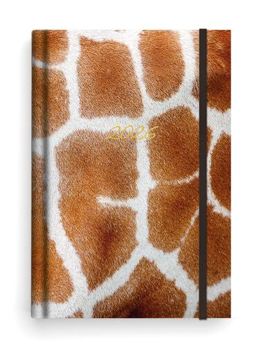 Di��26 T�d Prokop Lamino B6 �irafa B�K