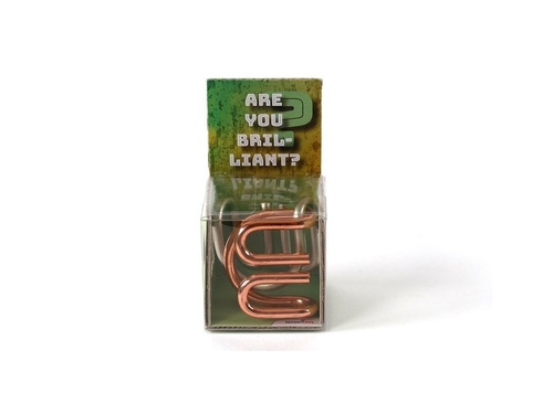 Recenttoys Hlavolam Are you Brilliant?