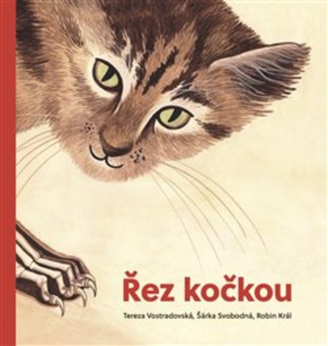 �ez ko�kou 2v. B̎�LI�KA