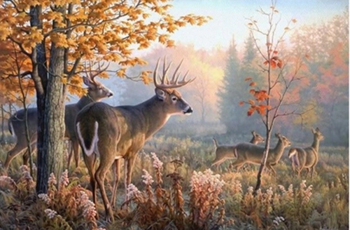 Diamantov� malov�n� Jeleni v ran MATYSKA