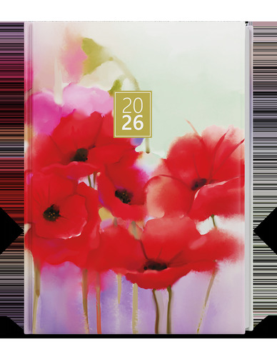 Di��26 Adam Denn� B6 M�ky BALOU�EK