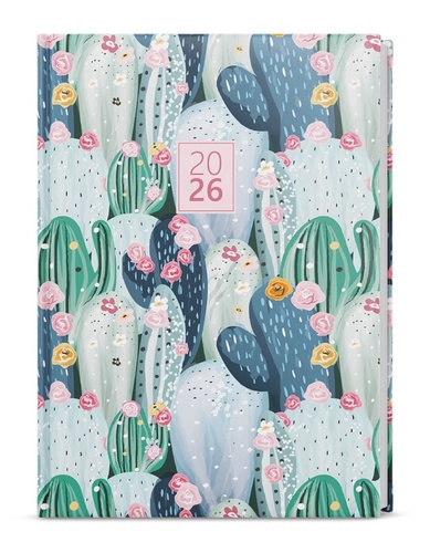 Di��26 T�d Prokop Lamino B6 Kaktus B�K