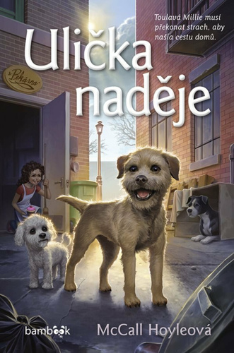 Uli�ka nad�je