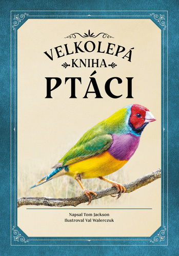Pt�ci Bookmedia