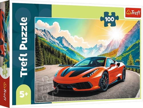 Puzzle Z�vod s �asem 100 d�lk�