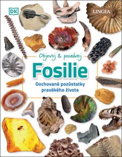 Fosilie LINGEA