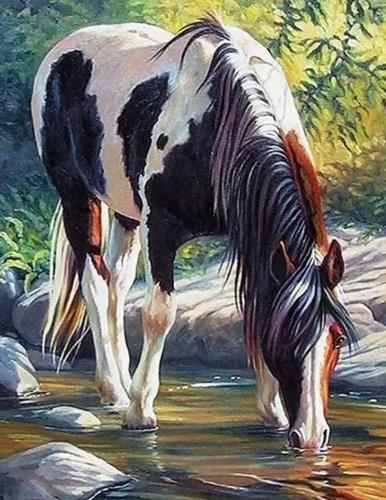 Diamantov� malov�n� K�� v �ece