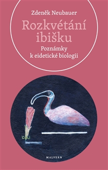 Rozkv�t�n� ibi�ku