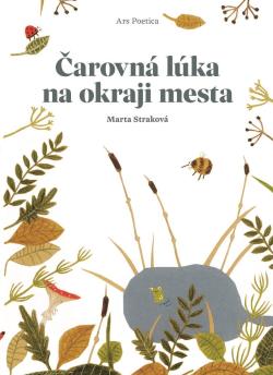 �arovn� l�ka na okraji mesta