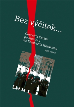 Bez v��itek�