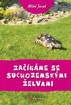Za��n�me se suchozemsk�mi �elvami