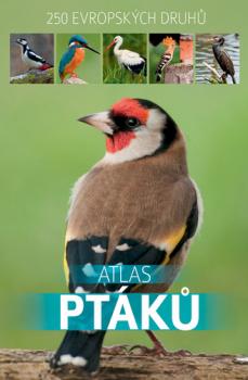 Atlas pt�k� BOOKMEDIA