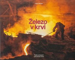 �elezo v krvi