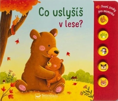 Co usly�� v lese? SVOJTKA