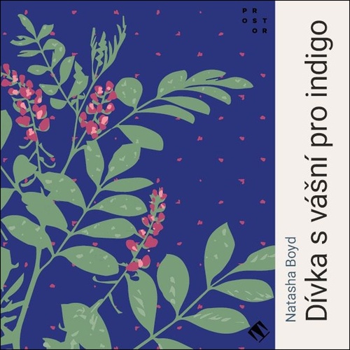 CD D�vka s v�n� pro indigo