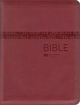 Bible 1175