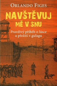 Nav�t�vuj m� v snu